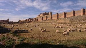 CASA RURAL ALTA YUBERIA