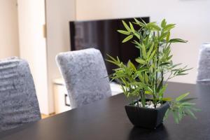 Les balcons de St Martin 2