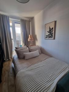 Apartament przy Pałacu