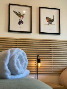 Moderno Edifício Frente al Lago