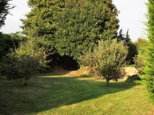 Maisons de vacances Ty Kena : photos des chambres