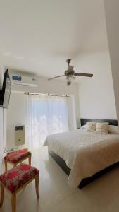 Mimi’s Dream Luján 2