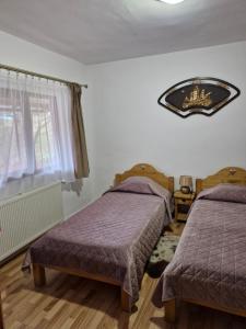 Pensiunea Cabana Viselor ,Apuseni