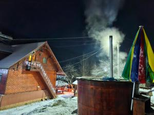 Pensiunea Cabana Viselor ,Apuseni