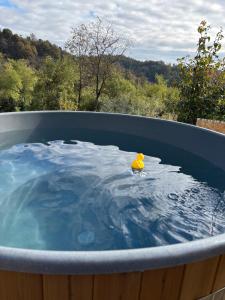 Fantail B&B