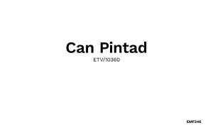 Can Pintad