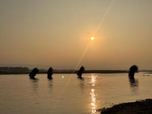 Hotel Sauraha Village