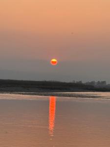 Hotel Sauraha Village