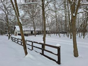 TücsökTanya Vendégház