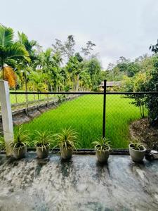 Pilgrims Nature Villa