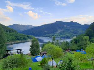 PENSIUNEA IZVORUL BUCURIEI