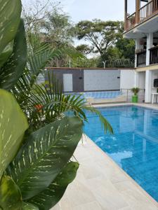 hotel bocas del cauca