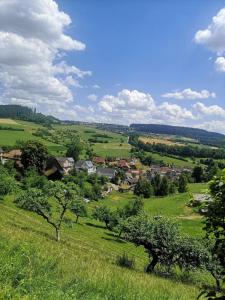 Ein Traum im Schwarzwald - mit Megaausblick