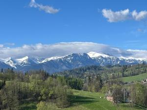 Góralski Przystanek Jacuzzi & sauna - dom dla 17 osób