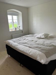 Gårdshus med jacuzzi på Österlen