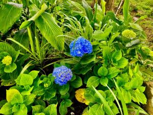 ECO LODGE MARUAMAKE-sierra nevada de santa marta