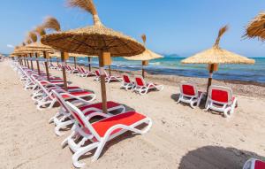 Confluentia Playa 10