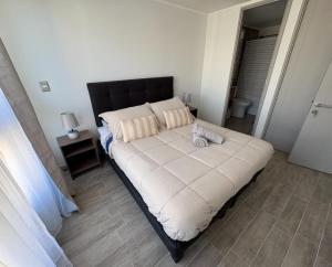 Experiencias Movistar Arena I Parque Ohiggins