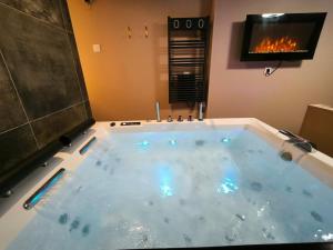 Le Cupidon, cocon privé avec Spa, Sauna, Cinéma Netflix et Jardin privé