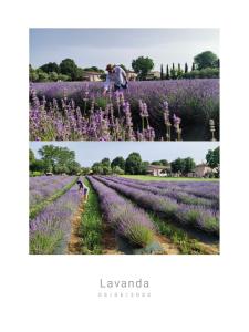 Corte Davini Agriturismo