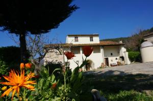 Agriturismo Podere Palazzuolo