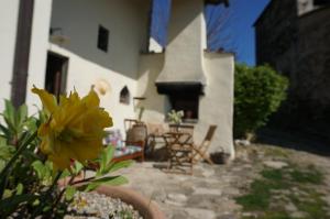 Agriturismo Podere Palazzuolo