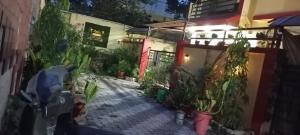 Shree Shyam villa
