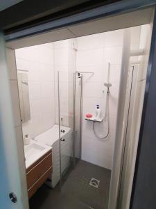 gemütliche Ferienwohnung in Zwickau