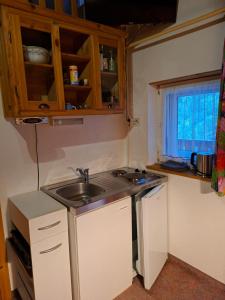 Gassermühle - Studio Appartments