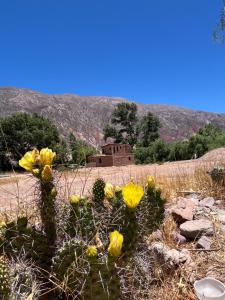 Casa La Rústica Maimara