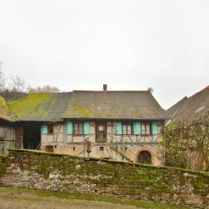 Chez Oma, La petite ferme