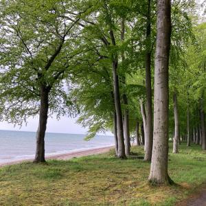 Sommerliv Bed and Breakfast