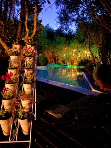 Cabañas Natural Park Lodge Pucón