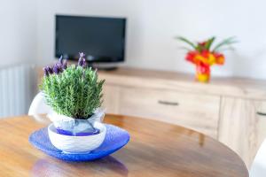 Casa Wanda LAWANDA img15