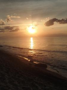 Domki letniskowe Wrzoski