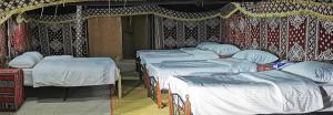 Desert Wonders Camp
