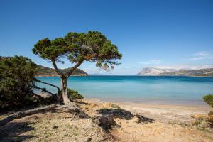 Apartments with Air Conditioning and private outdoor area in the center of San Teodoro