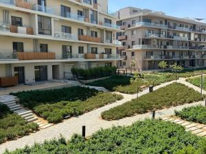 Sodic Viellet wonder