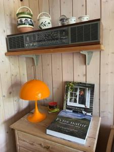 Retro Idyll And Bird Sounds In Quiet Oasis