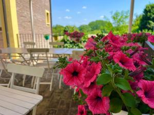 Bed & Breakfast Carpe Diem