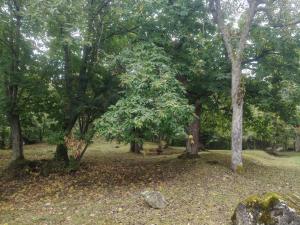 Angolo di Paradiso B&B