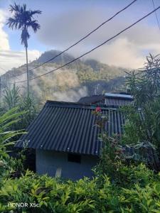 Royal homestay at Misty Mountain