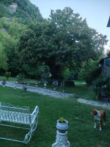 Angolo di Paradiso B&B