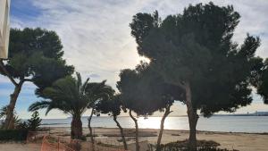 Playa Almadraba 1a Linea playa