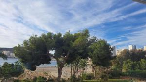 Playa Almadraba 1a Linea playa