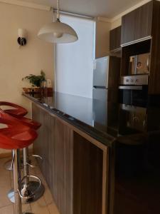 Departamento ViñaCentro