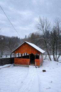 Suflul Bucovinei , Podyh Bukovyny
