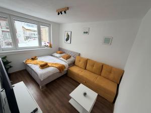 Cozy apartment in the heart of Terchova with great location