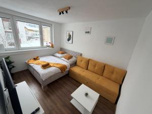 Cozy apartment in the heart of Terchova with great location