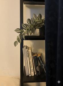 GuestFirst Aurora Studio Space-Themed Escape